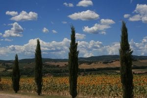 Gallery - Osteria LuCa Italian Restaurant, Charlotte, NC