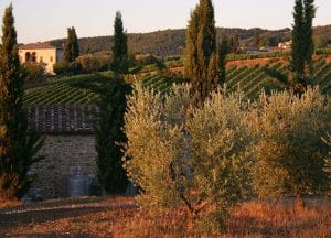 Osteria LuCa Italian Restaurant, Charlotte, NC